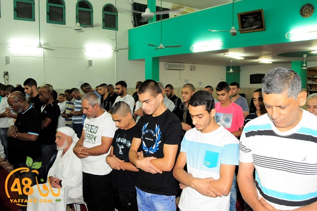 zatona mosque (2).JPG